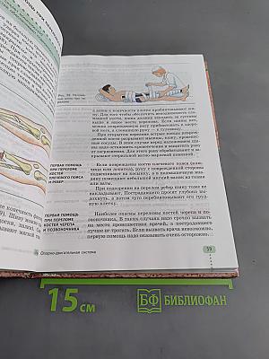 Биология. Человек. 9 класс