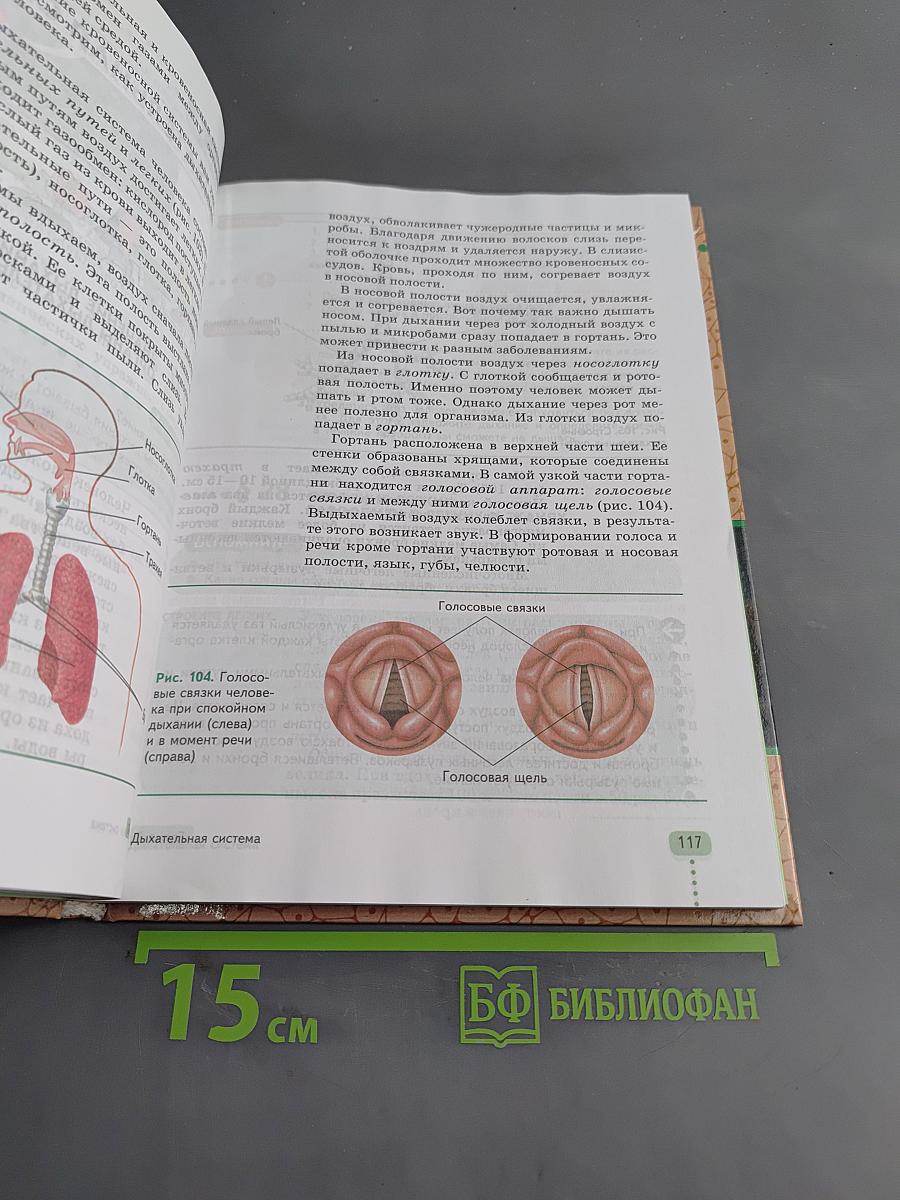 Биология. Человек. 9 класс