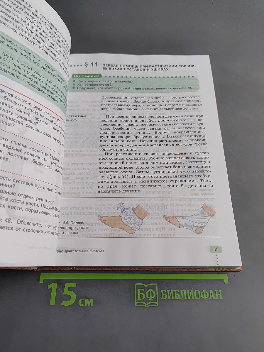 Биология. Человек. 9 класс