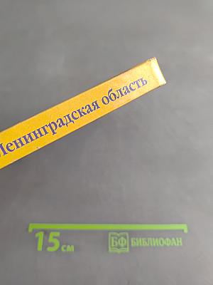 Санкт-Петербург и Ленинградская область. Учебное пособие по географии. 8-9 класс