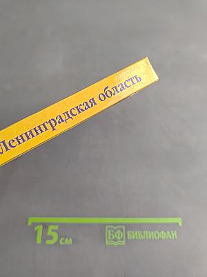 Санкт-Петербург и Ленинградская область. Учебное пособие по географии. 8-9 класс