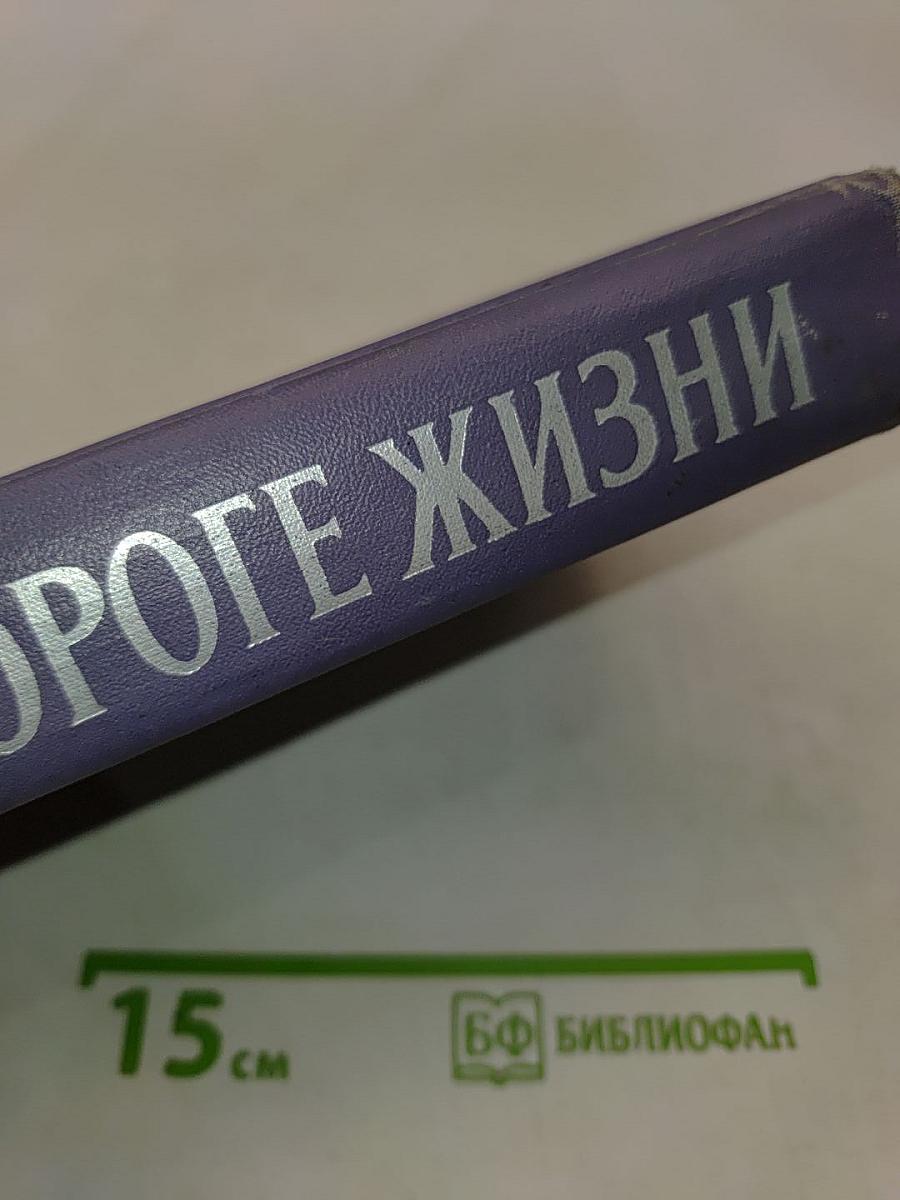 На дороге жизни