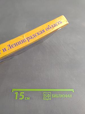 Санкт-Петербург и Ленинградская область. Учебное пособие по географии. 8-9 класс