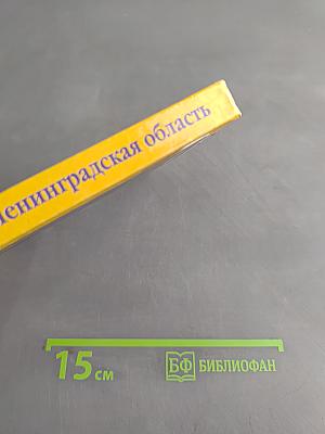 Санкт-Петербург и Ленинградская область. Учебное пособие по географии. 8-9 класс