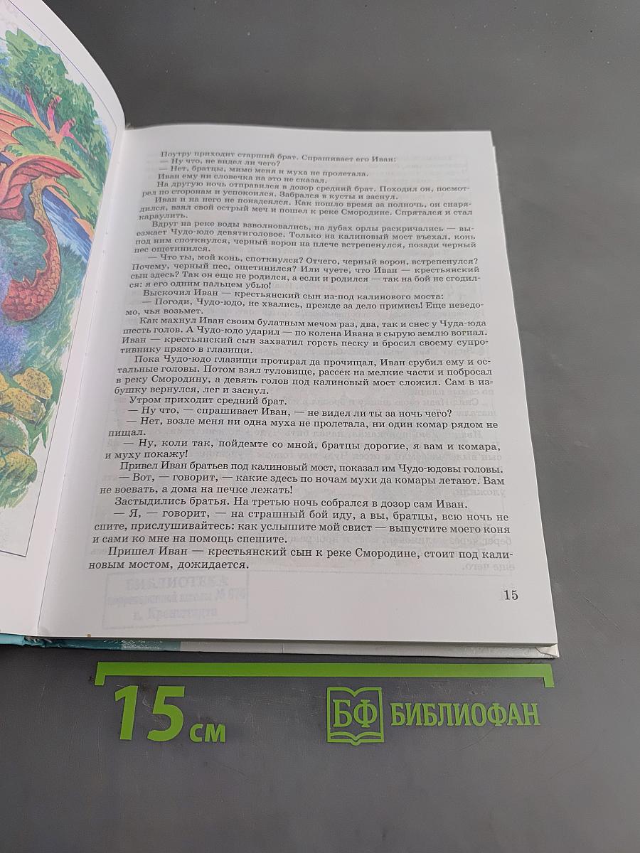 Чтение. Учебник для 8 класса специальных (коррекционных) образовательных учреждений VIII вида