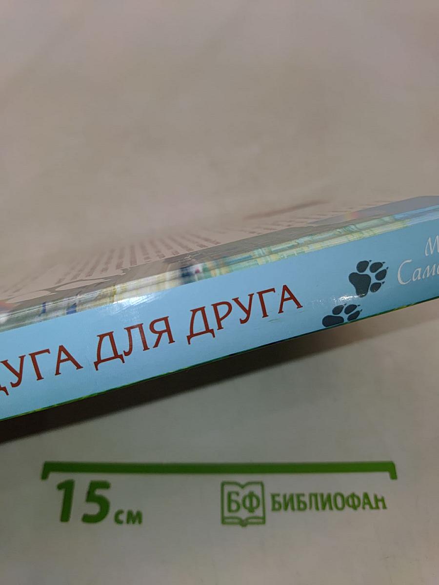 Радуга для друга