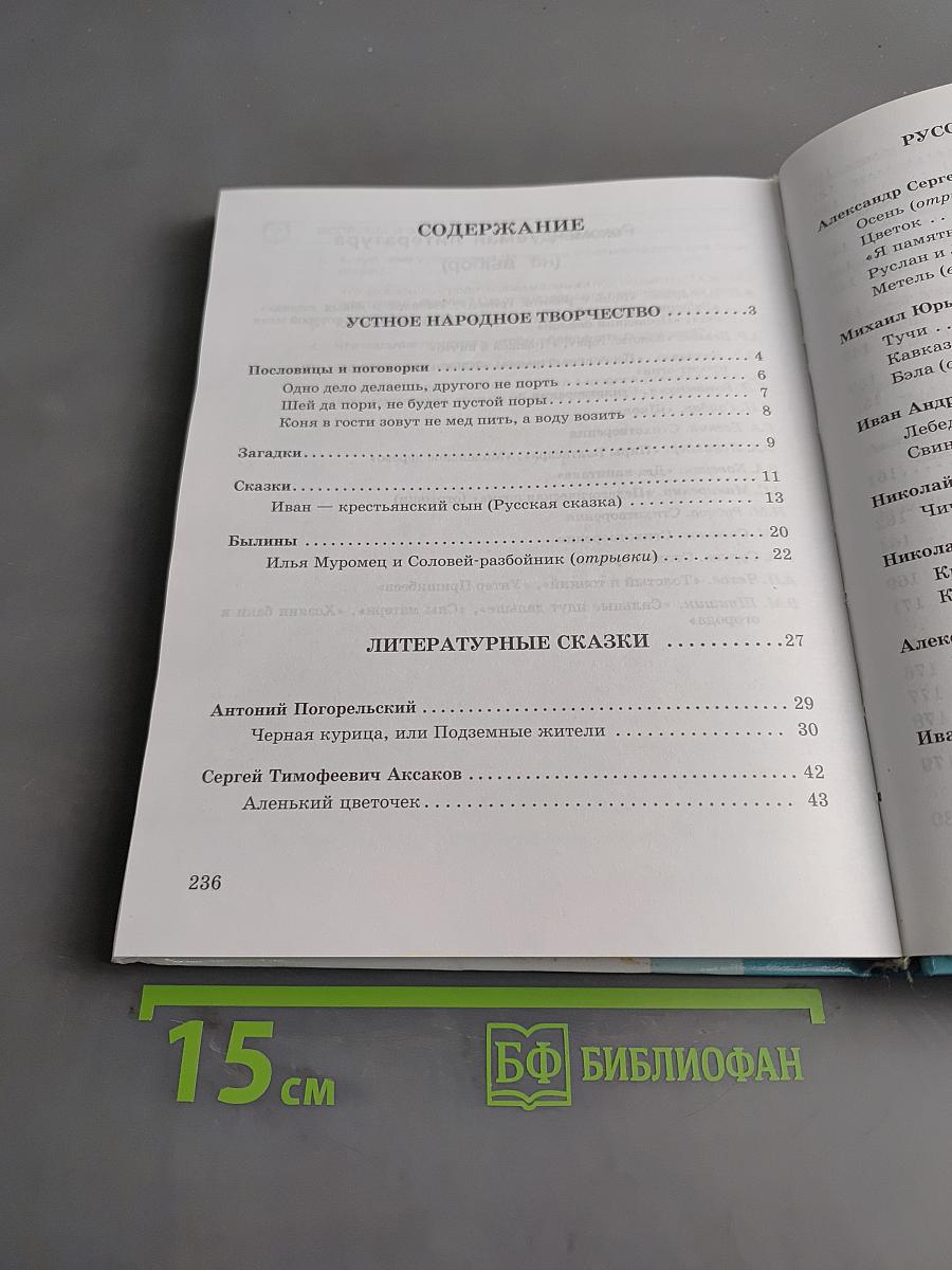 Чтение. 8 класс