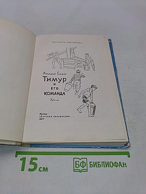 Тимур и его команда