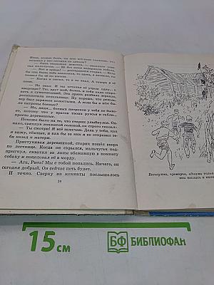 Тимур и его команда
