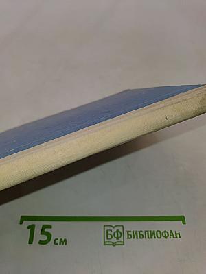 Тимур и его команда
