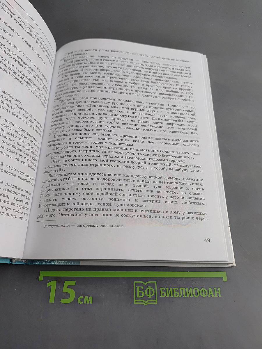 Чтение. Учебник для 8 класса специальных (коррекционных) образовательных учреждений VIII вида