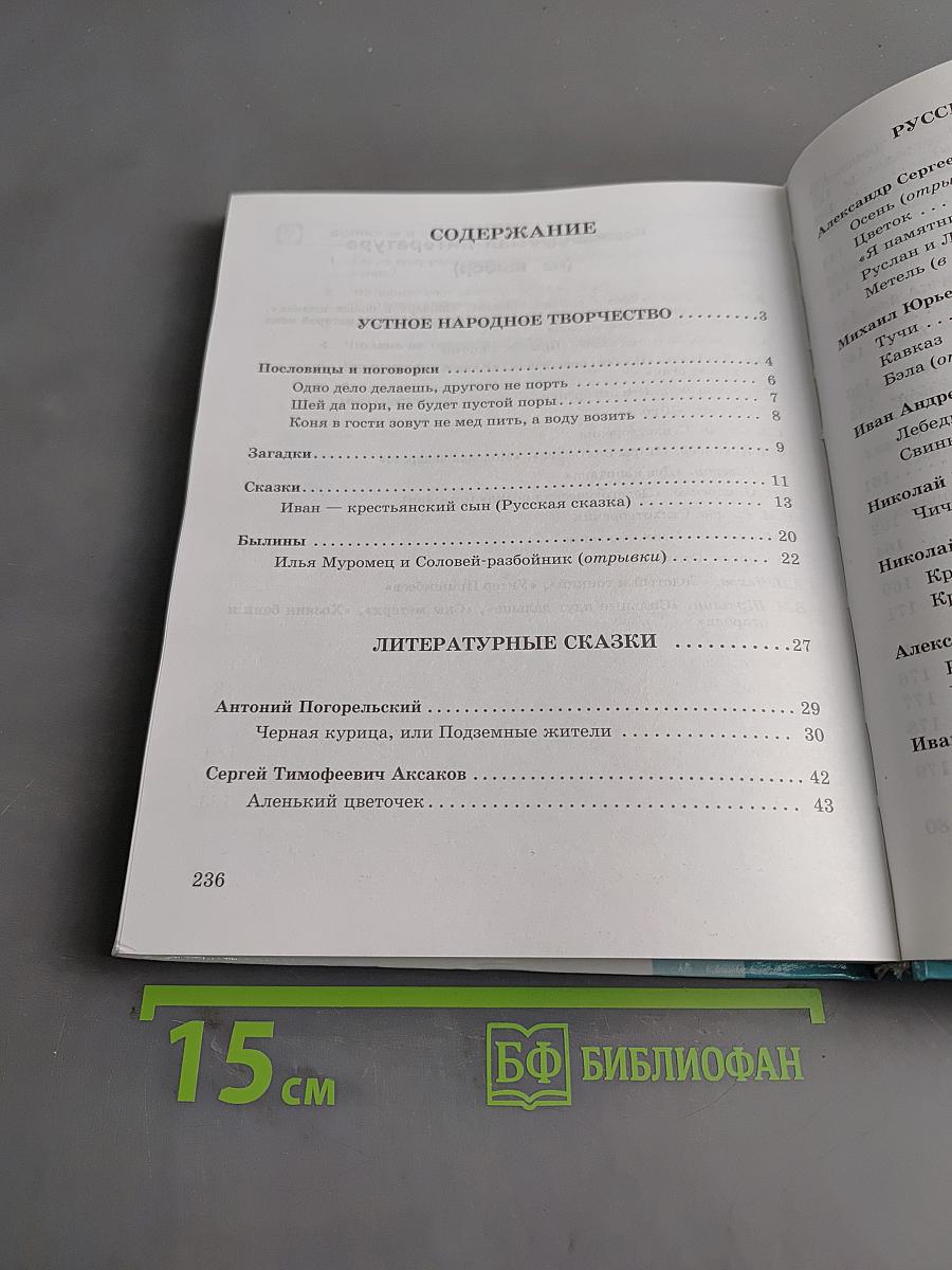 Чтение. Учебник для 8 класса специальных (коррекционных) образовательных учреждений VIII вида