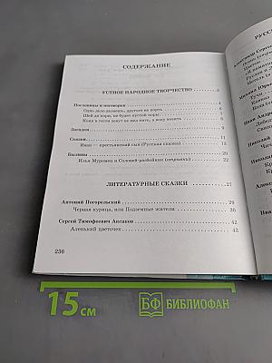 Чтение. Учебник для 8 класса специальных (коррекционных) образовательных учреждений VIII вида