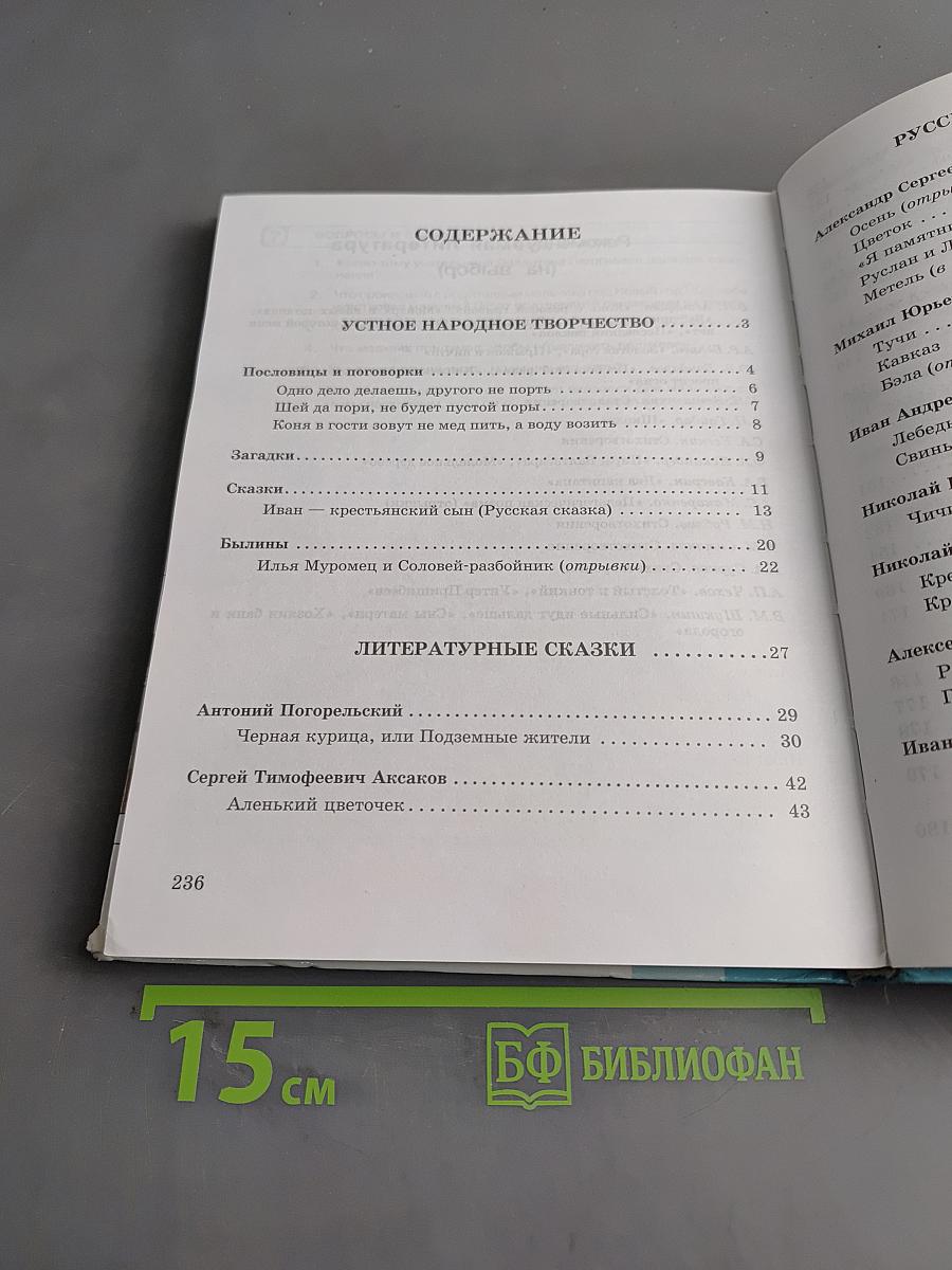 Чтение. Учебник для 8 класса специальных (коррекционных) образовательных учреждений VIII вида