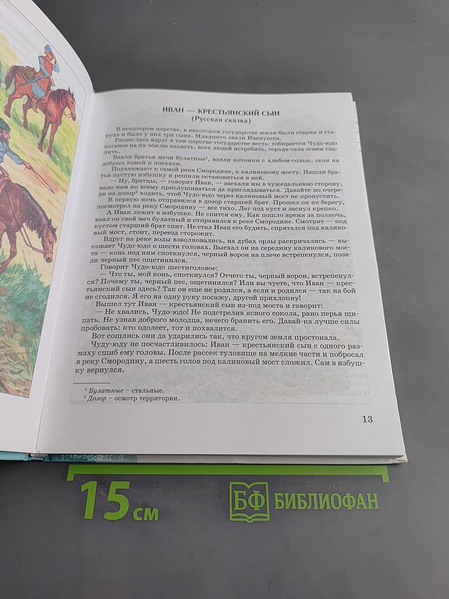 Чтение. Учебник для 8 класса специальных (коррекционных) образовательных учреждений VIII вида