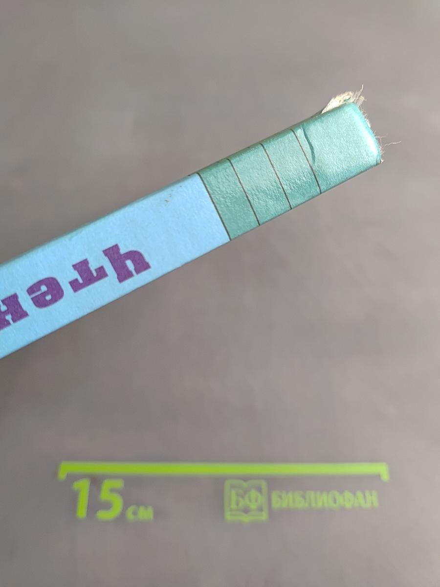Чтение. Учебник для 8 класса специальных (коррекционных) образовательных учреждений VIII вида