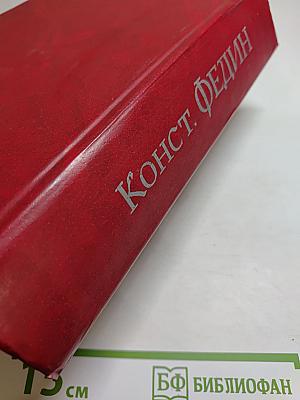 Первые радости. Необыкновенное лето. Романы