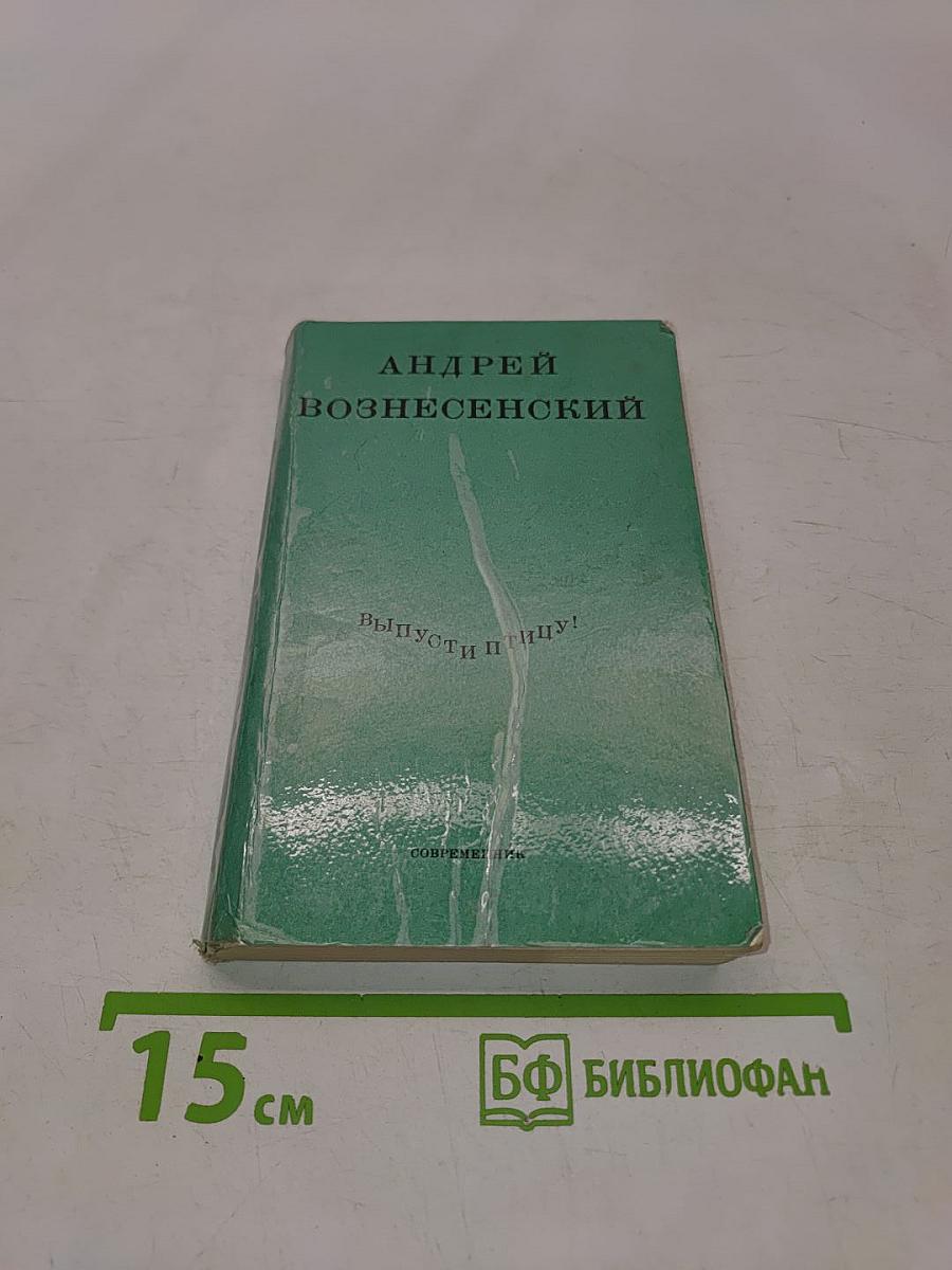 Выпусти птицу!