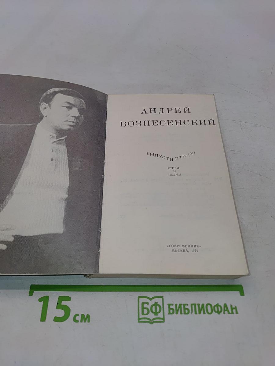 Выпусти птицу!