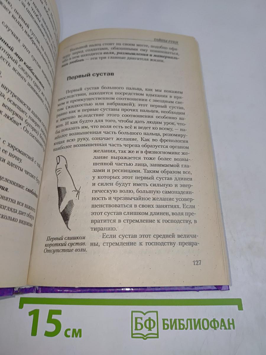 Тайны руки. Вся жизнь как на ладони