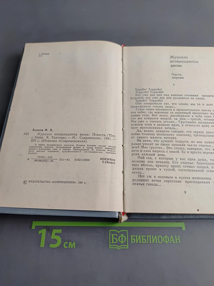 Журавли возвращаются вновь