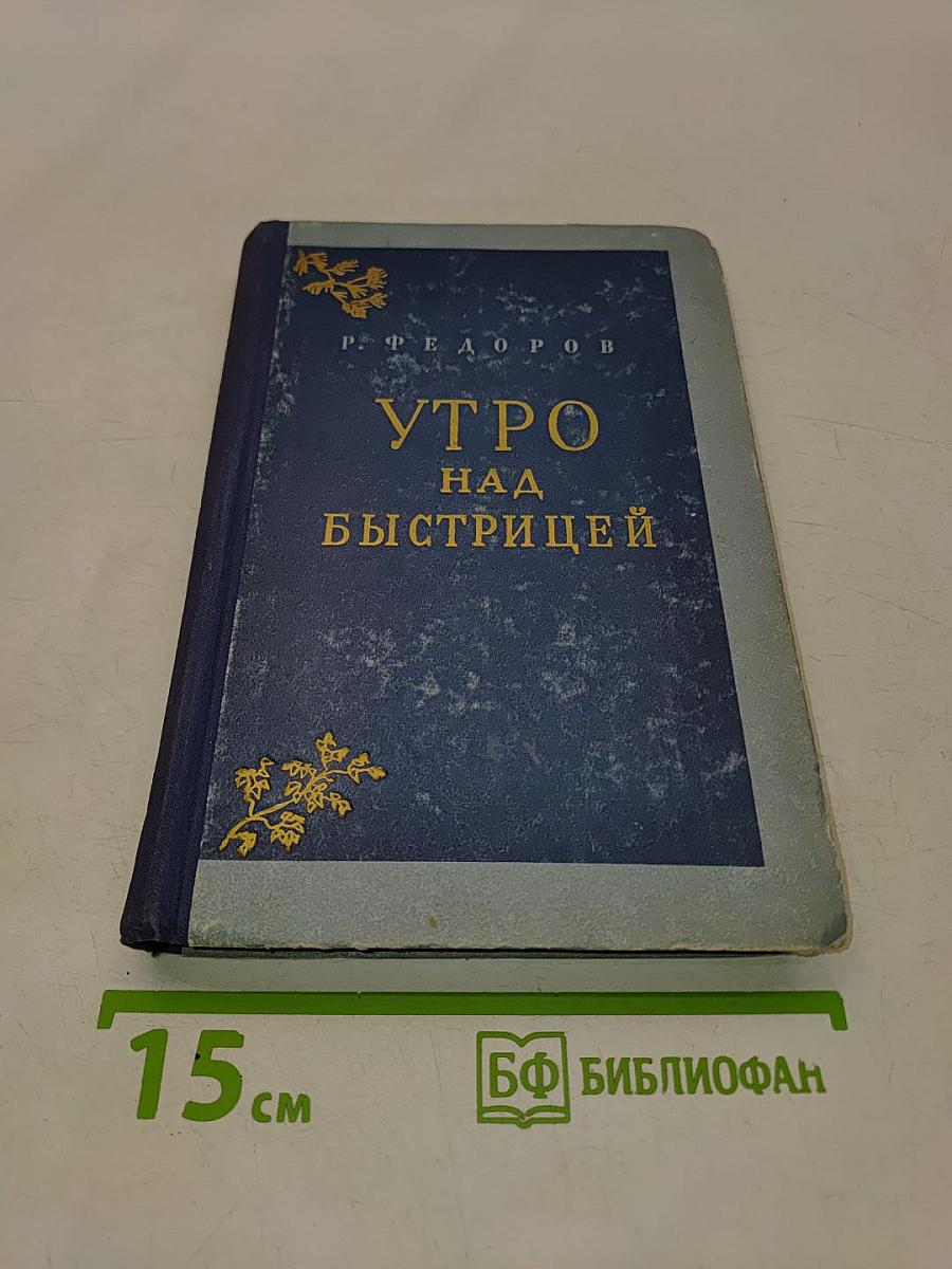 Утро над Быстрицей