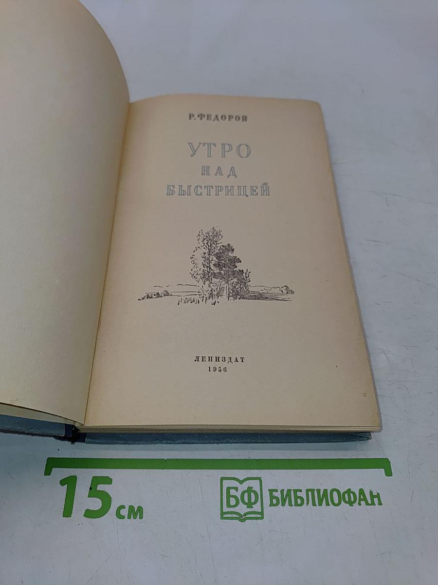 Утро над Быстрицей