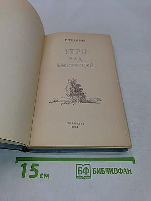 Утро над Быстрицей