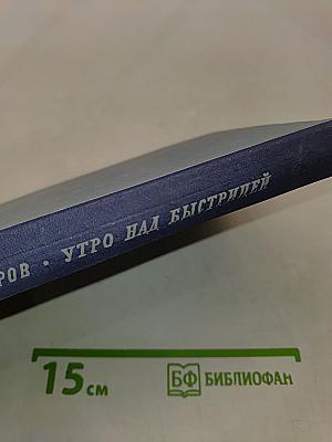 Утро над Быстрицей