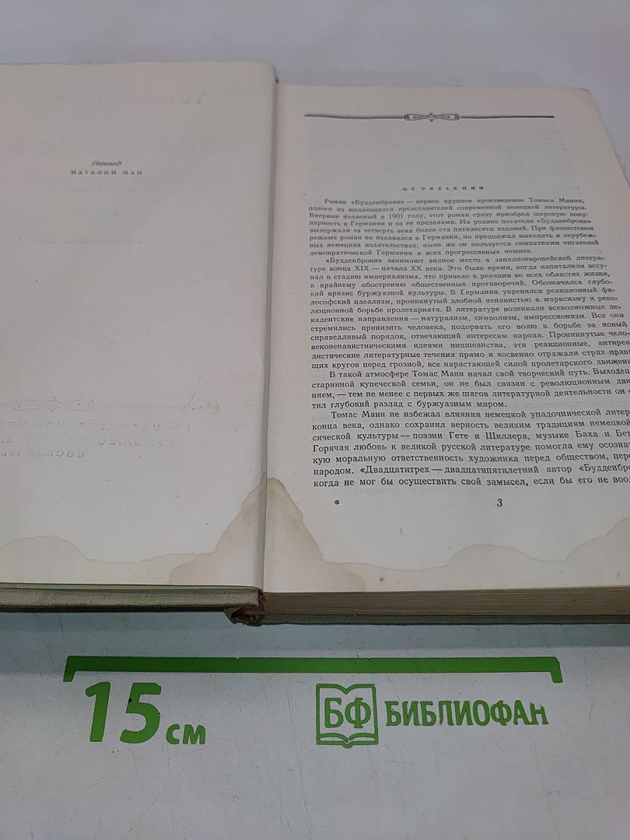 Будденброки. История гибели одного семейства