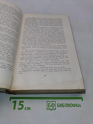 Будденброки. История гибели одного семейства