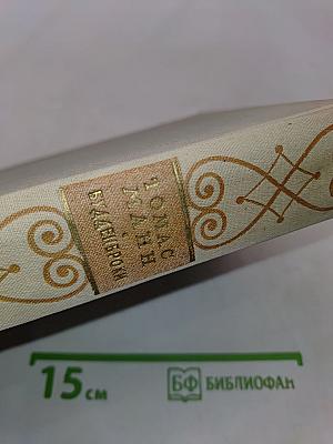 Будденброки. История гибели одного семейства