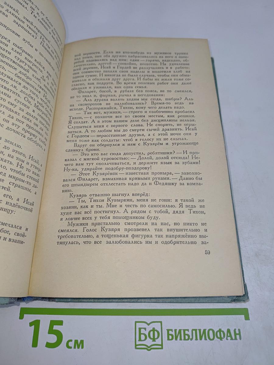 Лихая година