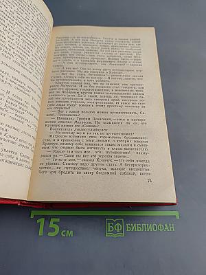 Александр Матросов. Внуки бандюриста