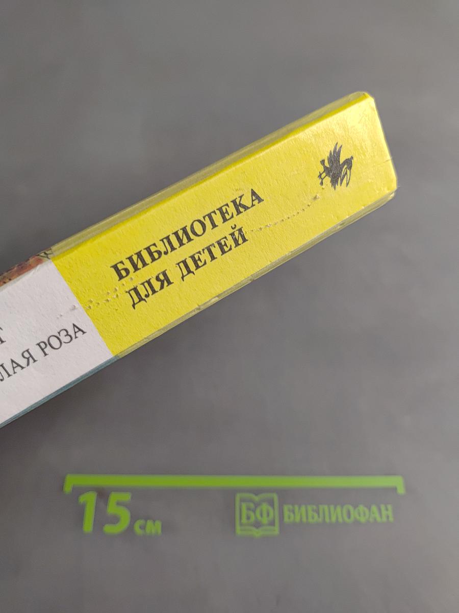 Следопыт