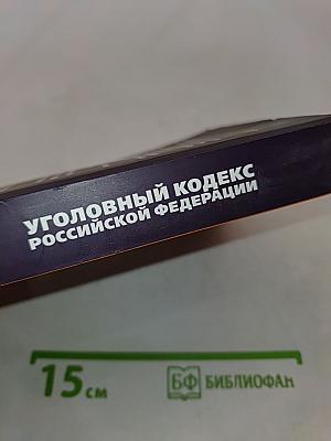 Уголовный кодекс Российской Федерации на 2025 год. Понятный практический комментарий