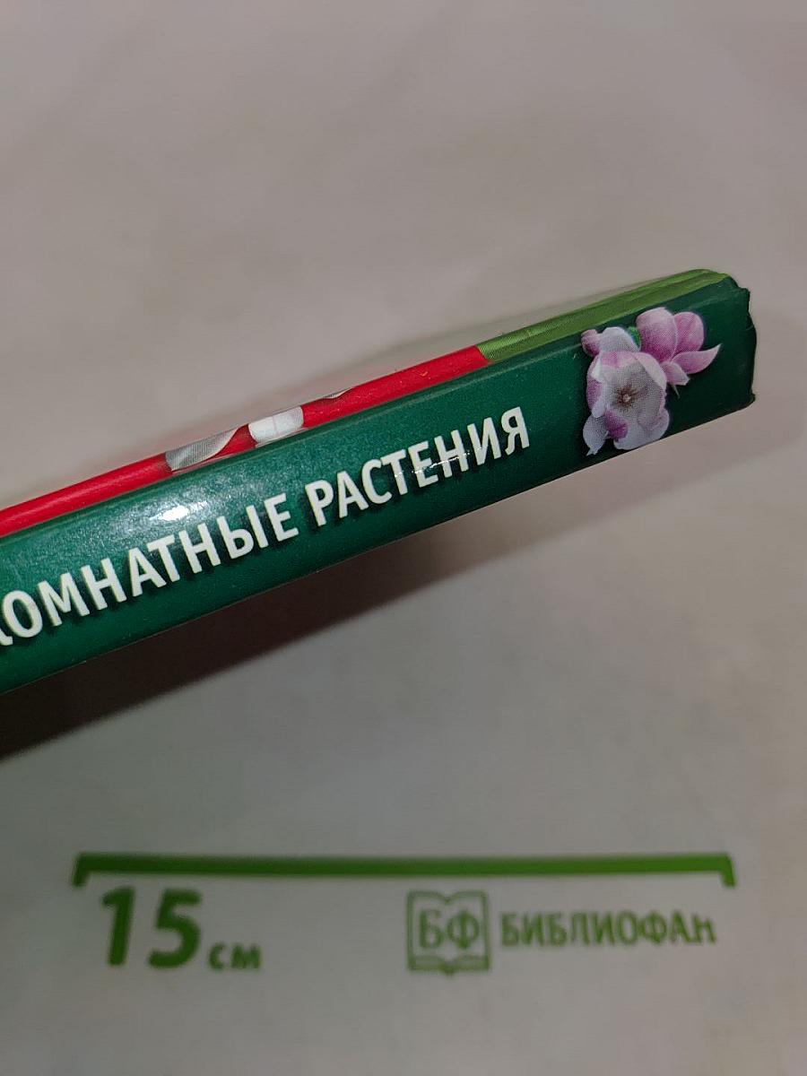 Фэн Шуй. Комнатные растения