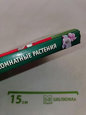 Фэн Шуй. Комнатные растения