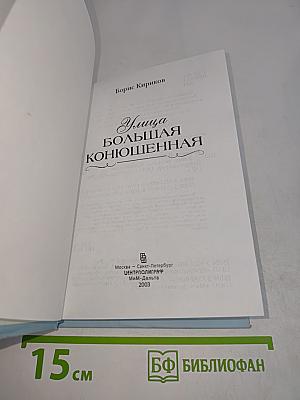 Улица Большая Конюшенная
