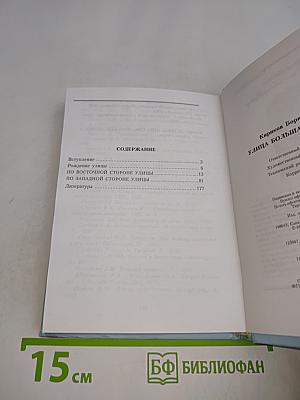 Улица Большая Конюшенная