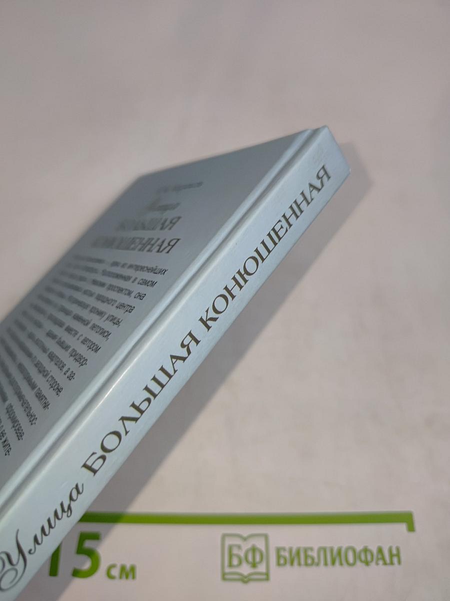 Улица Большая Конюшенная