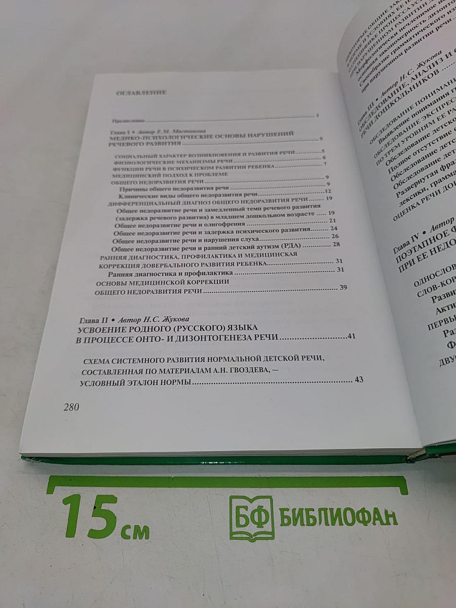 Логопедия. Основы теории и практики
