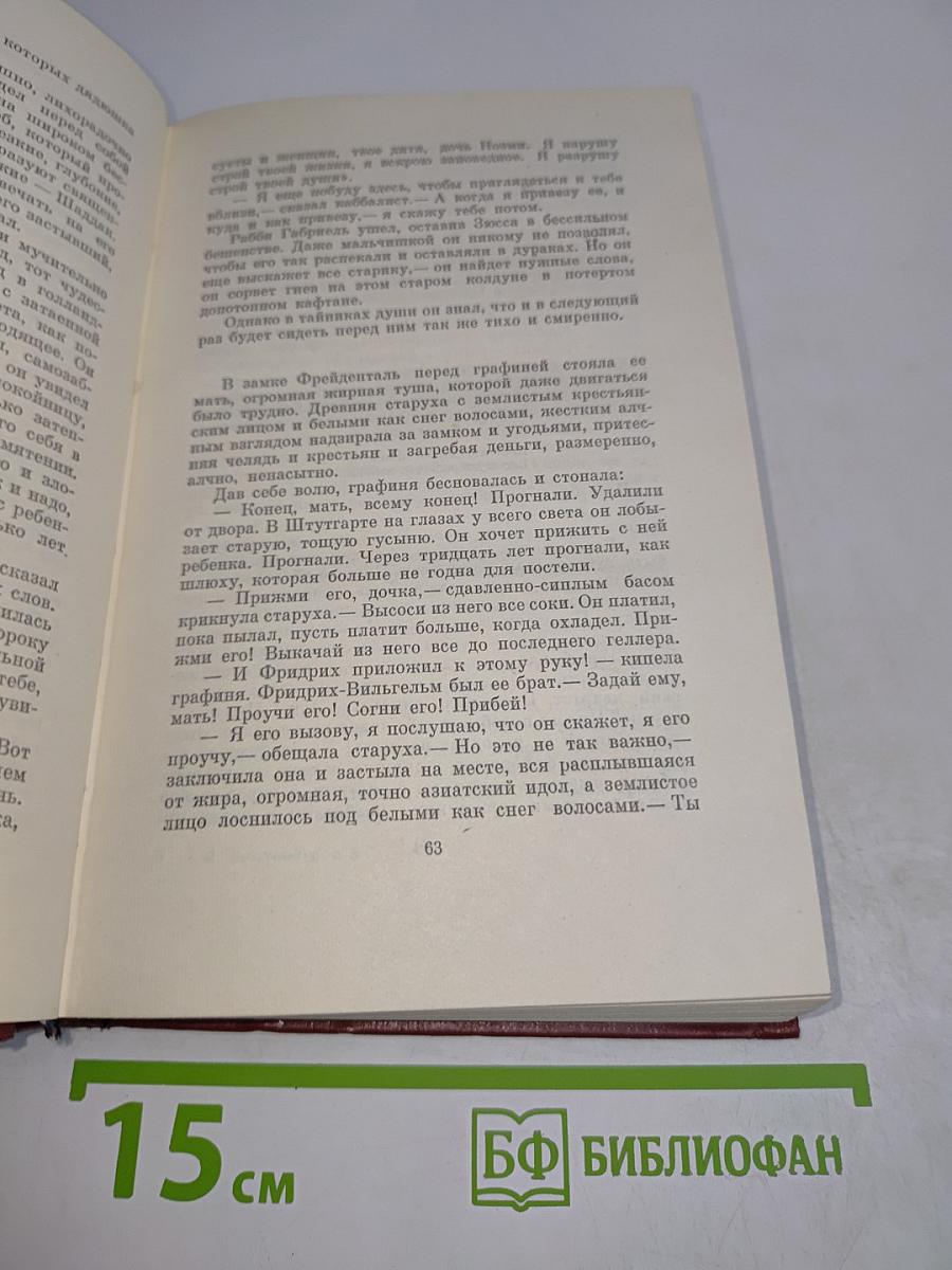 Еврей Зюсс. Собрание сочинений. Том второй