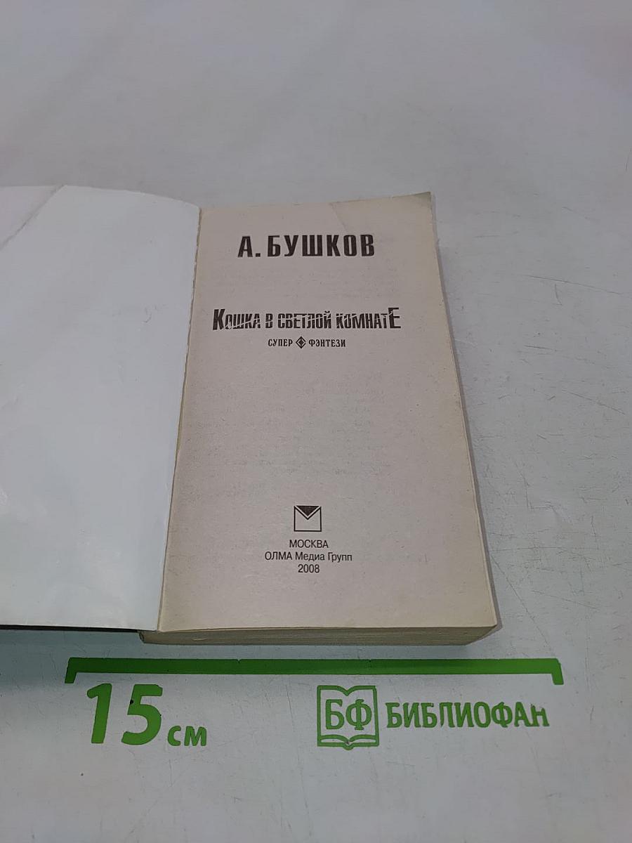 Кошка в светлой комнате