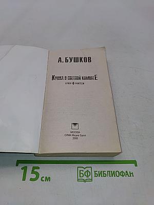 Кошка в светлой комнате