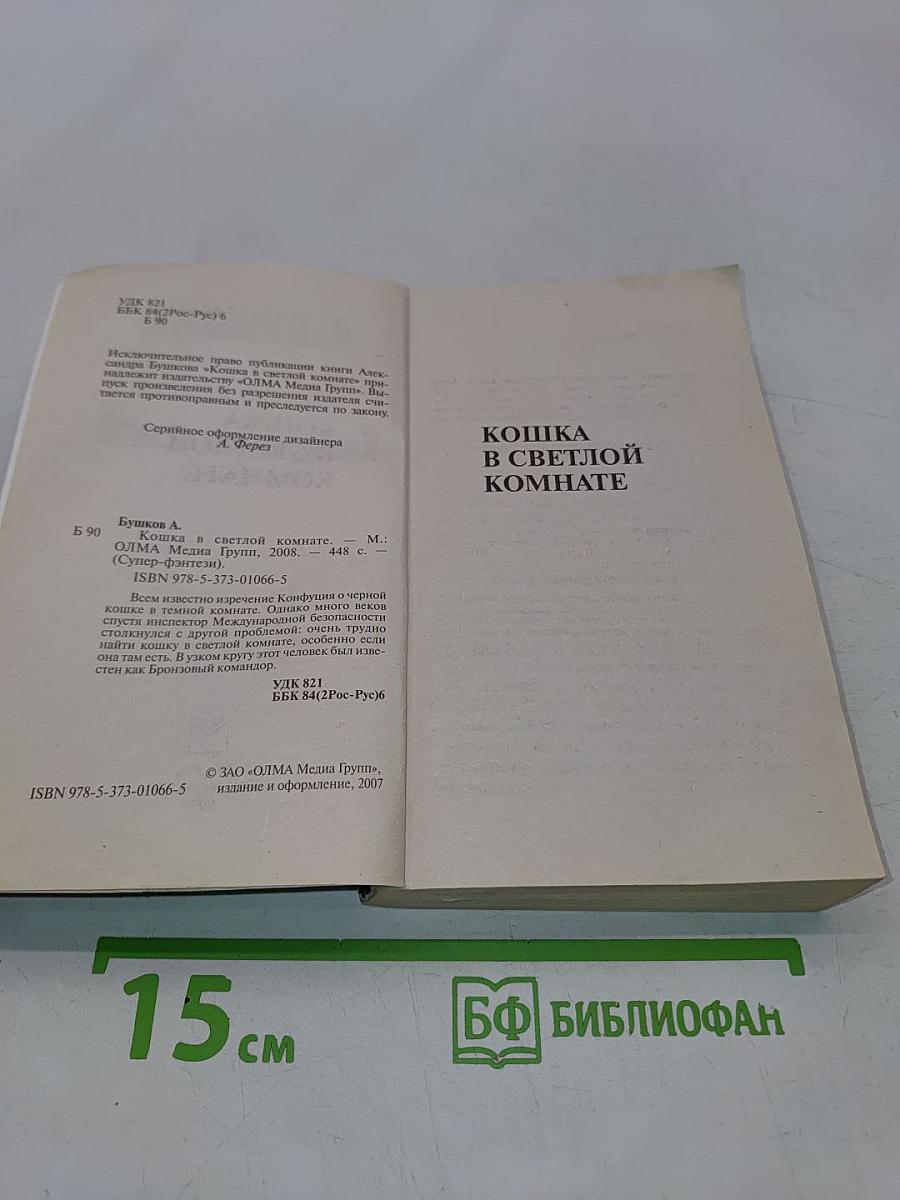 Кошка в светлой комнате
