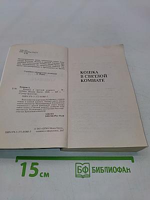 Кошка в светлой комнате
