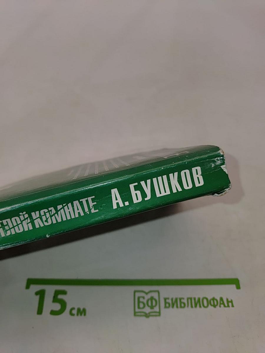 Кошка в светлой комнате
