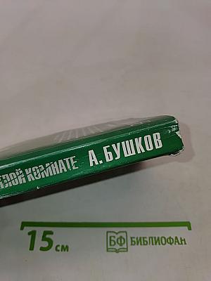 Кошка в светлой комнате