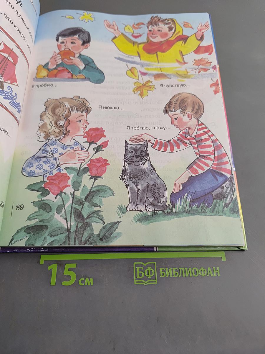 Солнечный зайчик. Учебник для подготовительного и первого классов специальных (коррекционных) школ I-II вида